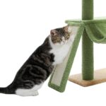 Deckenspanner Kratzbaum für Katzen Kletterbaum Spielplatz mit Sisalstämmen Natürlich und Robust-4