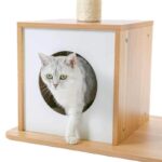 Katzenbaum aus Holz - Kratzbaum mit Liegeflächen & Sisalstämmen-2