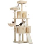 Katzenbaum mit Mehreren Höhlen Kratzbaum für Große Katzen-3