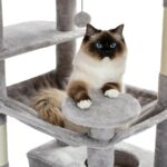 Katzenkratzbaum Groß - Spielparadies für Katzen mit vielen Ebenen zum Klettern und Toben-6