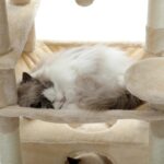 Katzenkratzbaum Groß - Spielparadies für Katzen mit vielen Ebenen zum Klettern und Toben-8