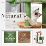 Kratzbaum Kaktus Design mit Sisalstamm für Katzen zum Krallenwetzen und Spielen-3