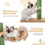 Kratzbaum Kaktusdesign Kletterbaum Katzenmöbel für aktive und verspielte Katzen-4