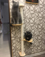 Wand Katzenkratzbaum mit Sisal Kratzfläche – Klettern und Spielen für Katzen-2