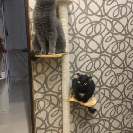 Wand Katzenkratzbaum mit Sisal Kratzfläche – Klettern und Spielen für Katzen-2