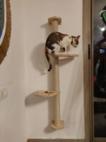 Wand Katzenkratzbaum mit Sisal Kratzfläche – Klettern und Spielen für Katzen-3
